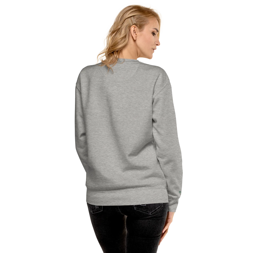 Model trägt Carbon Grey Premium-Unisex-Pullover mit Power of Mind-Design, Rückansicht – klassischer Sweatshirt für Damen und Herren, bequem und stilvoll