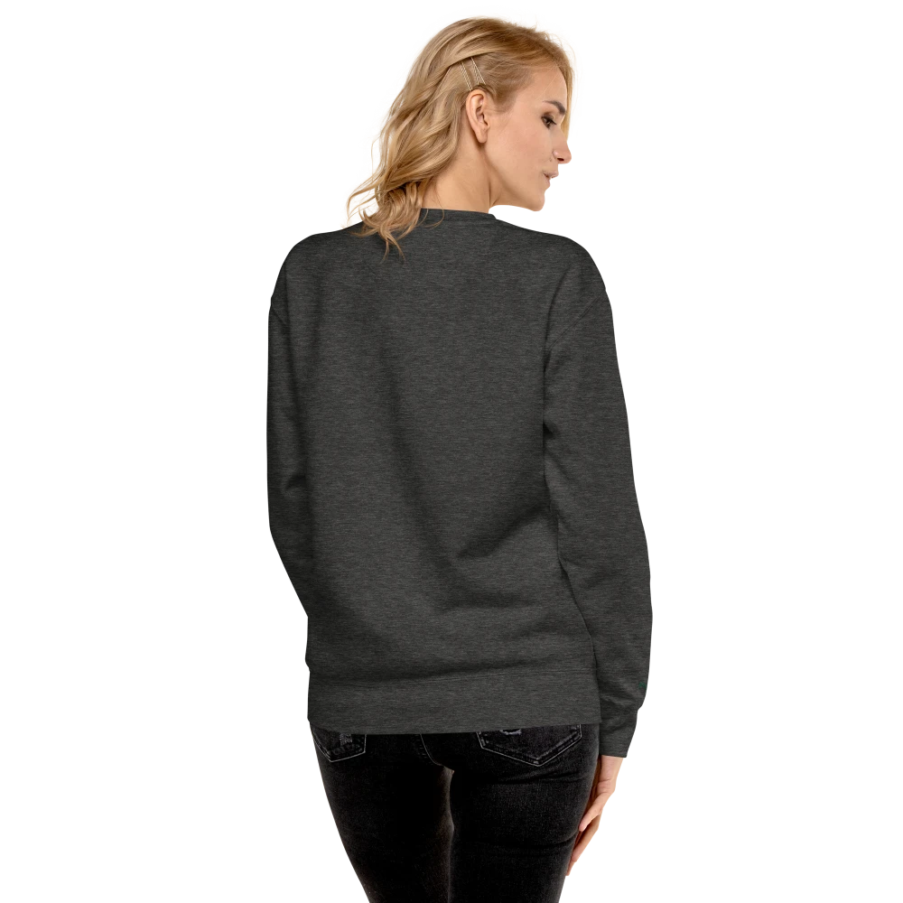 Das Modell trägt Premium-Unisex-Pullover dem Power of Mind-Design in der Charcoal Heather, von hinten betrachtet